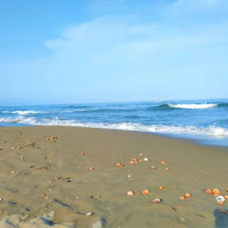 Large Deluxe Front Sea View Benalbeach * 베날마데나코스타